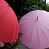 雨にぬれない